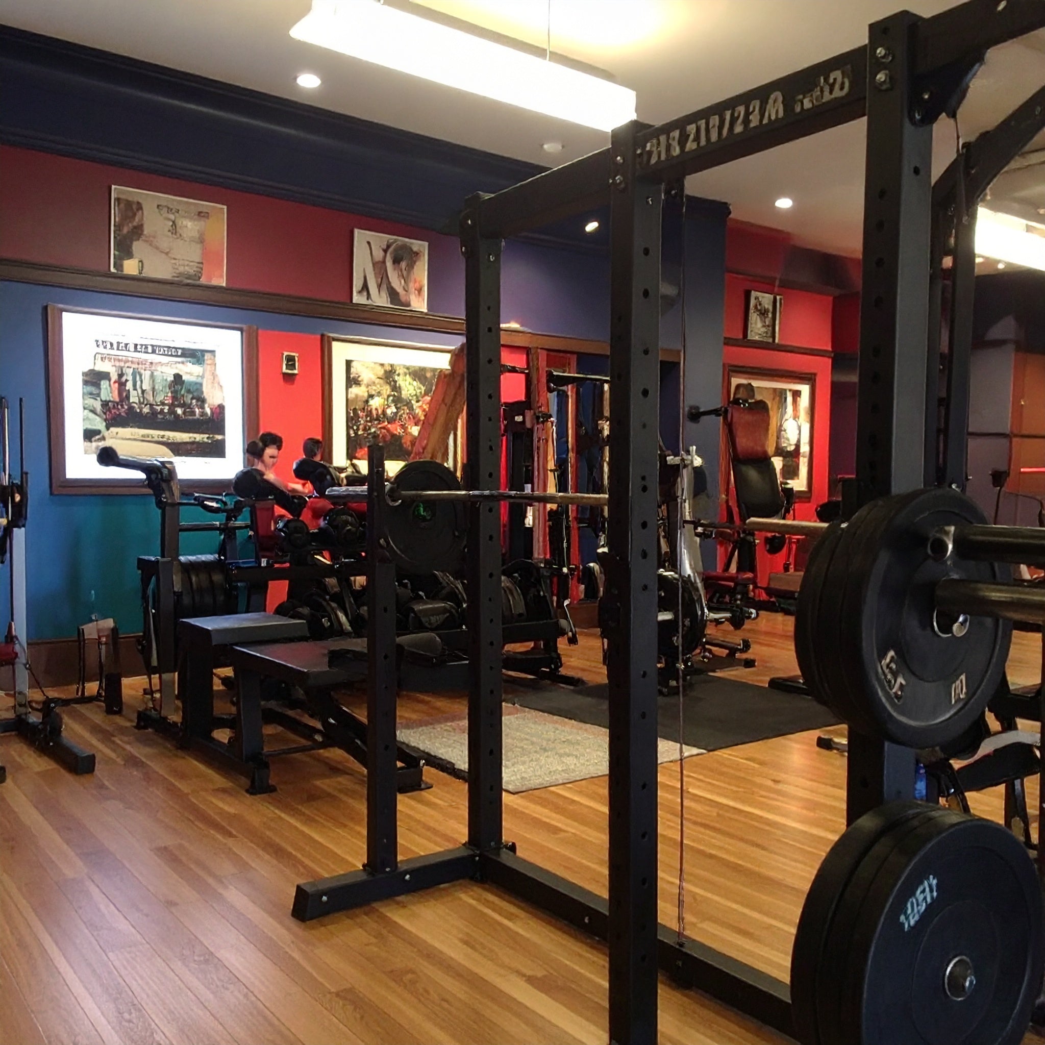 Rogue Fitness RML-3W Fold Back Wall Mount Rack